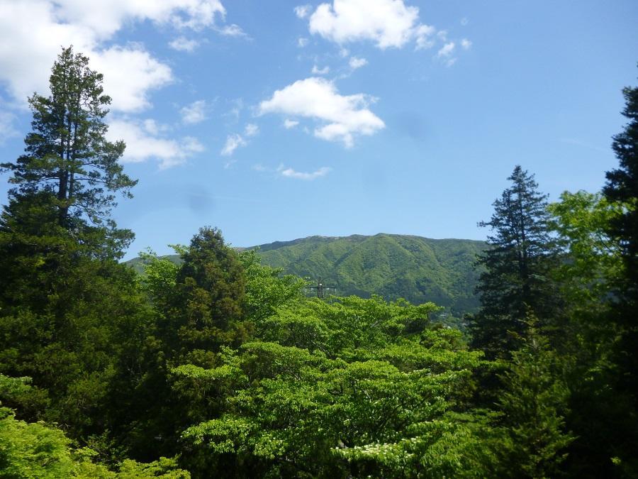 Kaze No Ne Hotel Hakone Kültér fotó